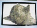 yoda2.jpg