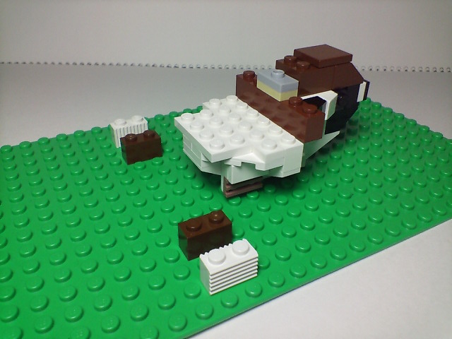 suzume_inst_009.jpg