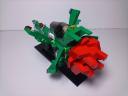 la_vie_en_rose_017.jpg
