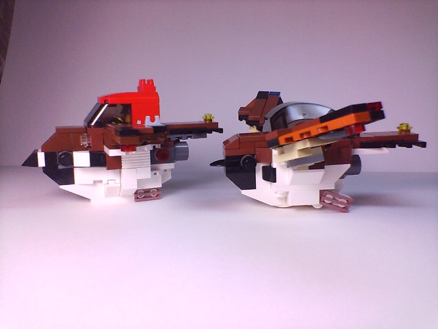 suzume-2_009.jpg