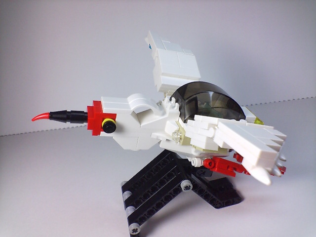 toki_008.jpg