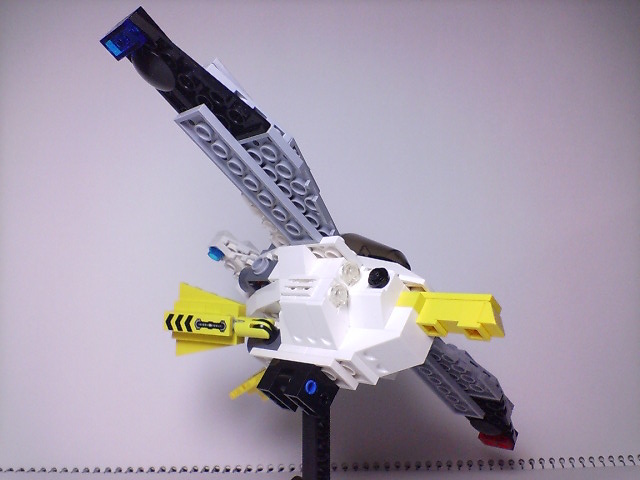 kamome_009.jpg