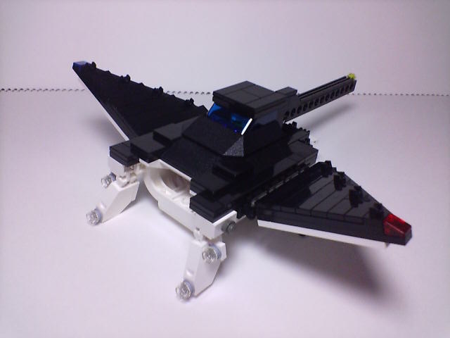 manta_001.jpg