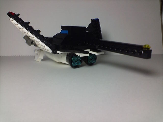 manta_005.jpg