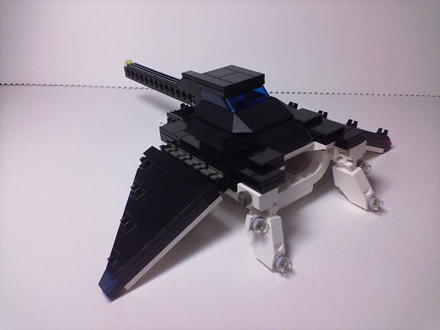 manta_008.jpg