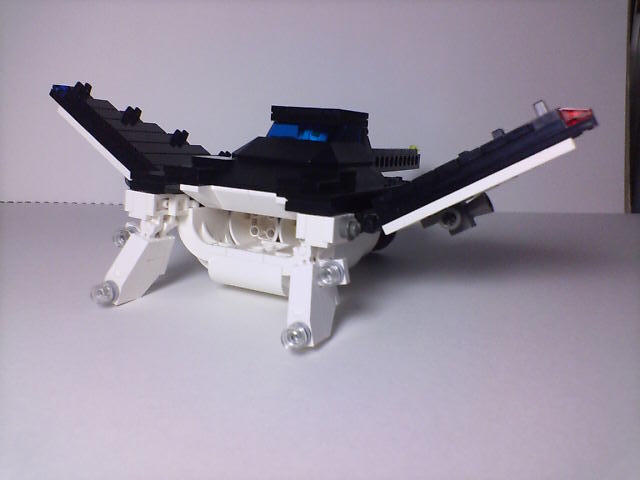manta_009.jpg