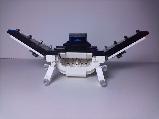 manta_010.jpg