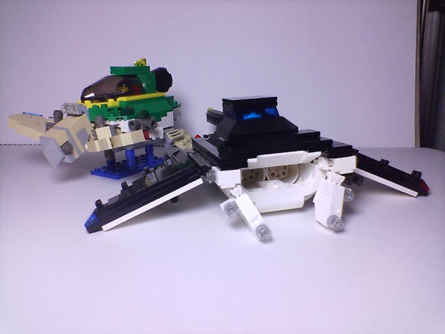 manta_012.jpg