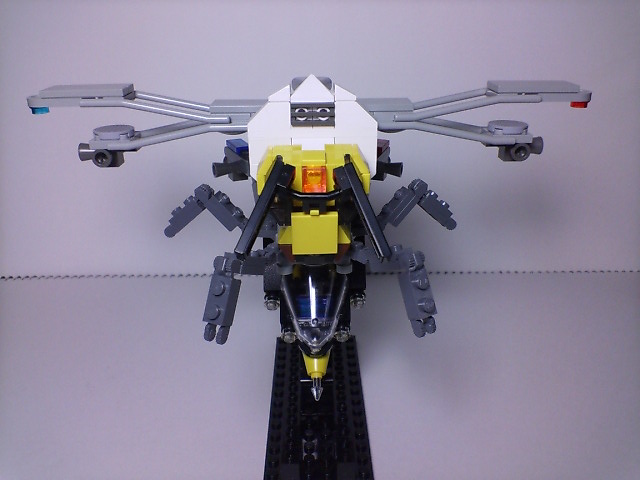 queen_bee_012.jpg