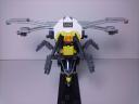 queen_bee_012.jpg
