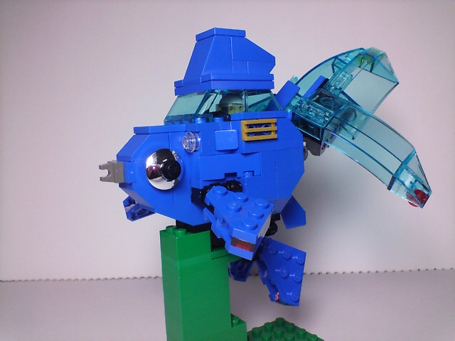 ryukin_src_001.jpg