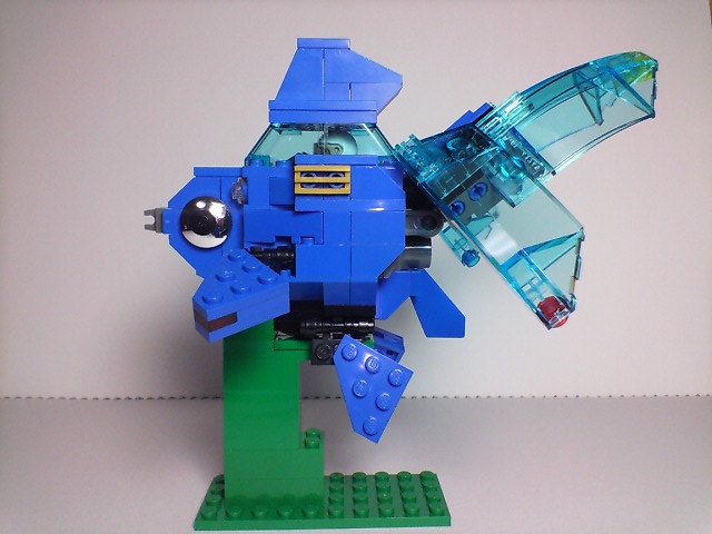 ryukin_src_003.jpg