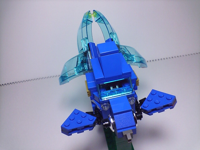 ryukin_src_012.jpg