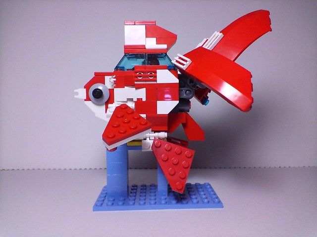 ryukin-ff_002.jpg