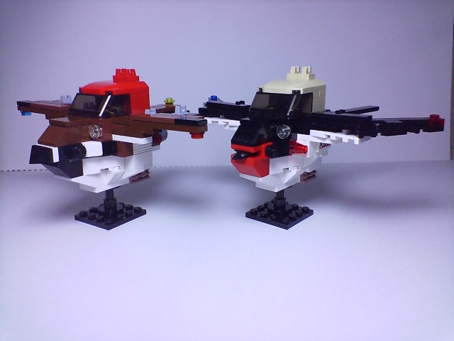 tsubame_019.jpg