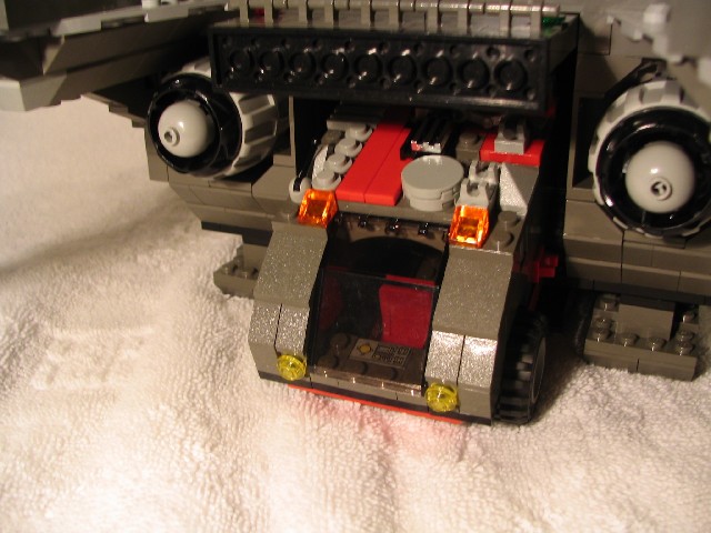 alc_boar_07.jpg