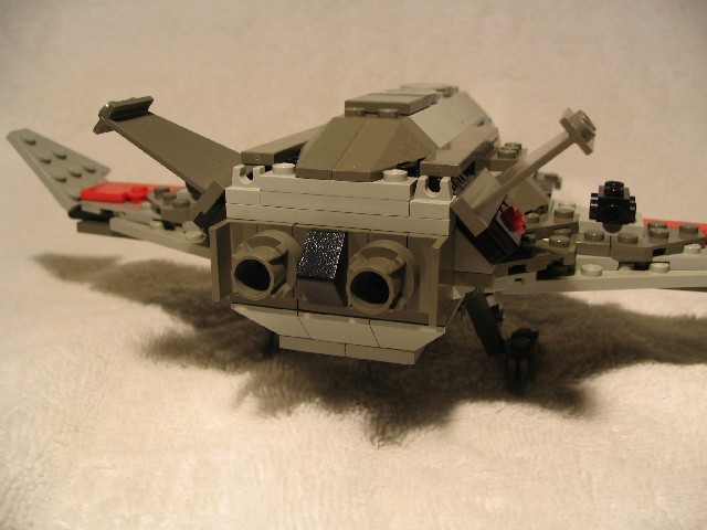 alc_kingfisher_03.jpg