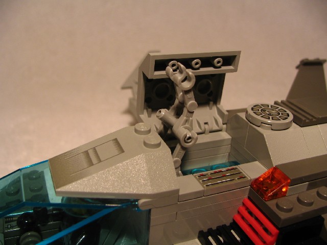 alc_kingfisher_04.jpg