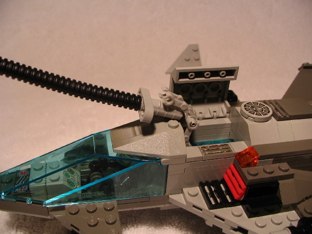 alc_kingfisher_05.jpg