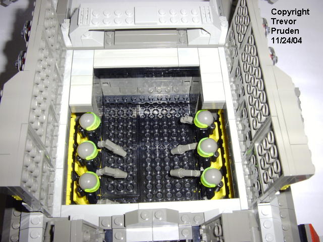 orca8.jpg