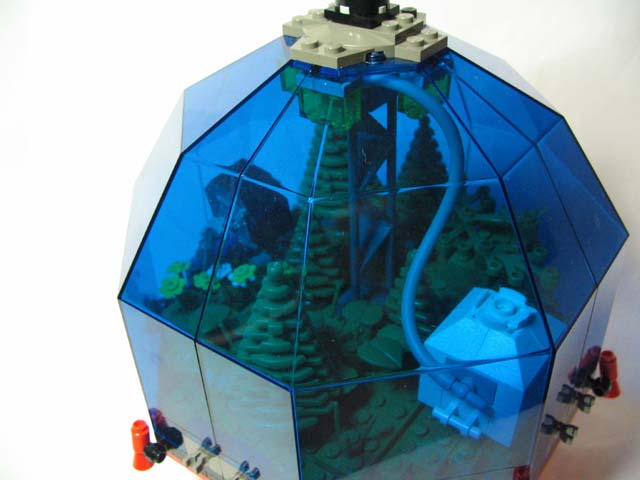 forest4.jpg