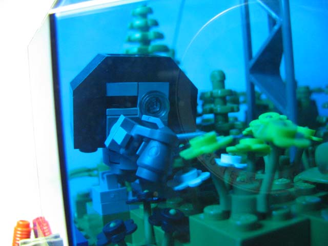 forest7.jpg