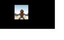 brown.bmp