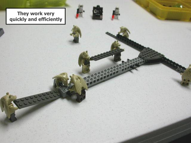 09.jpg