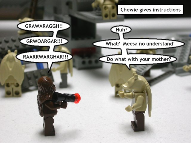 08.jpg