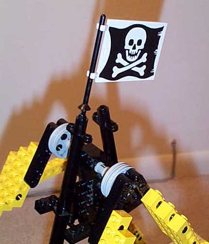 pirate-top.jpg