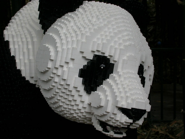 dscn0254.jpg