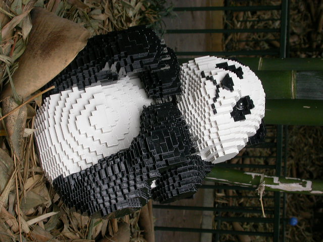 dscn0255.jpg