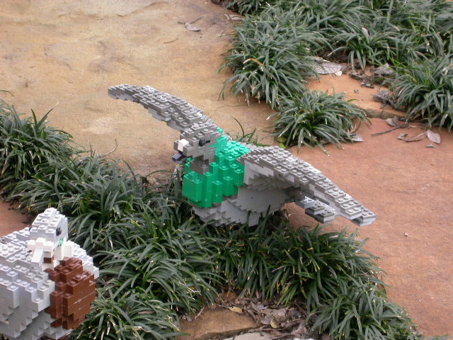 dscn0261.jpg