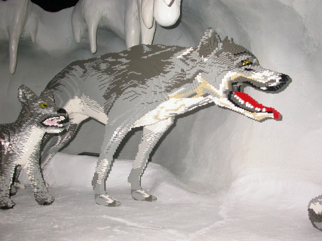 dscn0263.jpg
