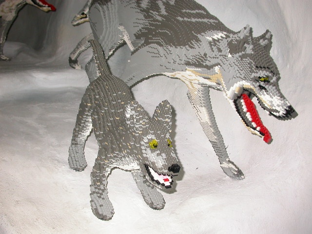 dscn0264.jpg