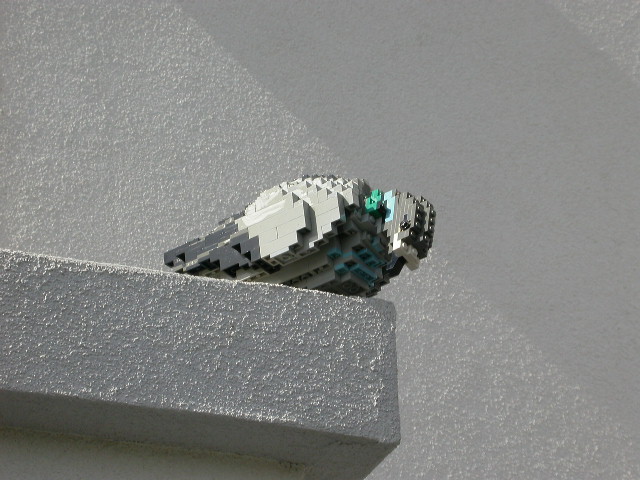 dscn0282.jpg