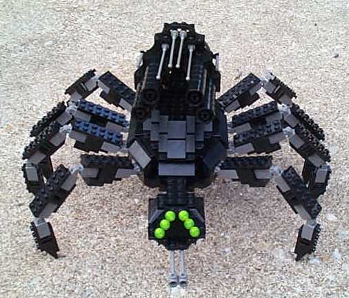 widow_front.jpg