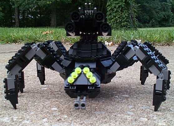 widow_front_low.jpg