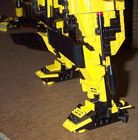 legs1.jpg