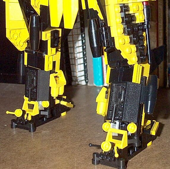 legsback1.jpg