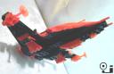 05-shrike.jpg
