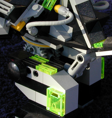 stomp-3.jpg