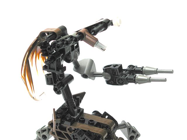08spine.jpg