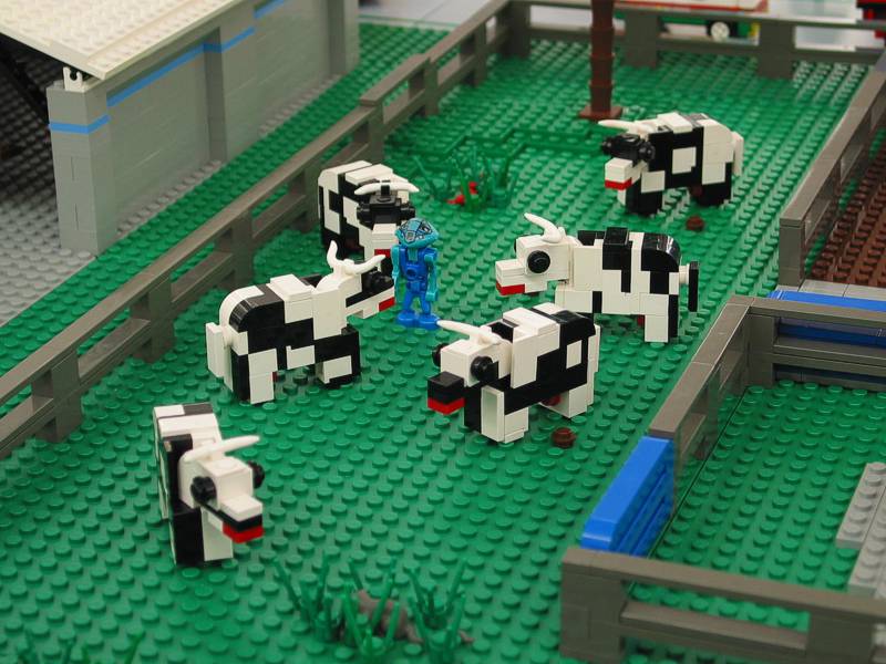 03herd.jpg