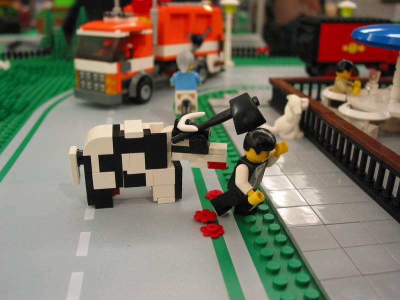 cow04.jpg