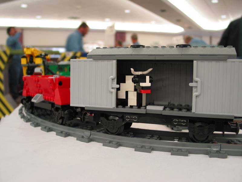cow14.jpg