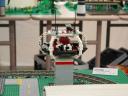 cow02.jpg