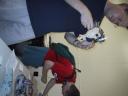 img_2484-small.jpg