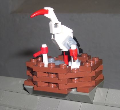 stork.jpg