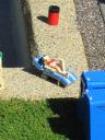 legoland-miniland040.jpg